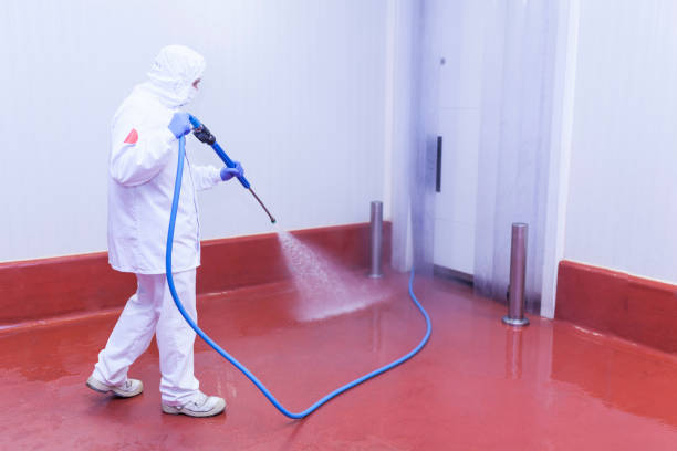 Best Roof Washing  in Perry, FL