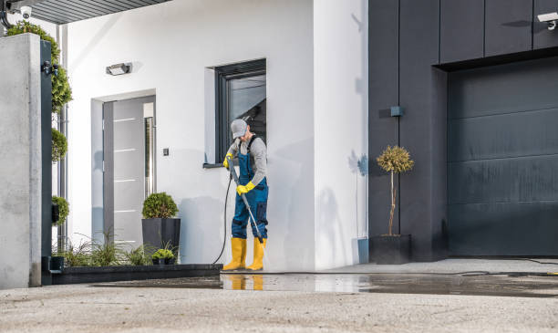 Best Solar Panel Cleaning  in Perry, FL